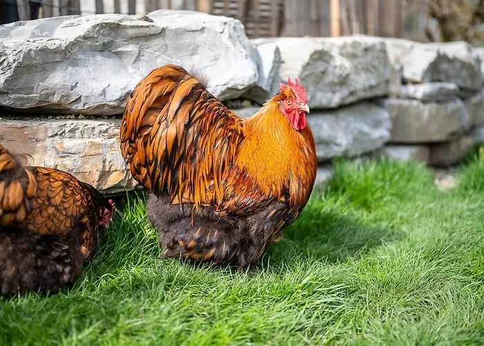 Hotel Daskaiser - Dein Gartenhotel In Tirol 3*