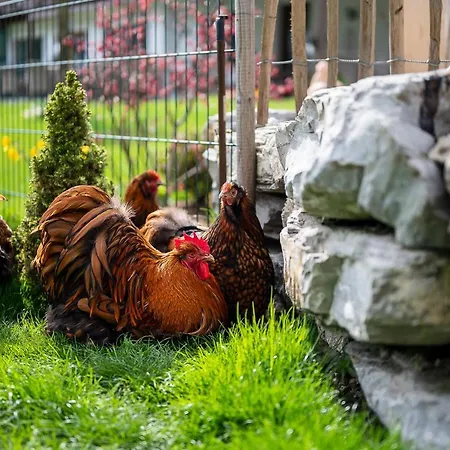 Ξενοδοχείο Daskaiser - Dein Gartenhotel In Tirol