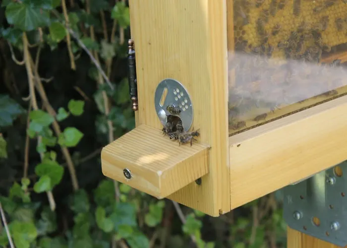 Daskaiser - Dein Gartenhotel In Tirol 3* Ebbs