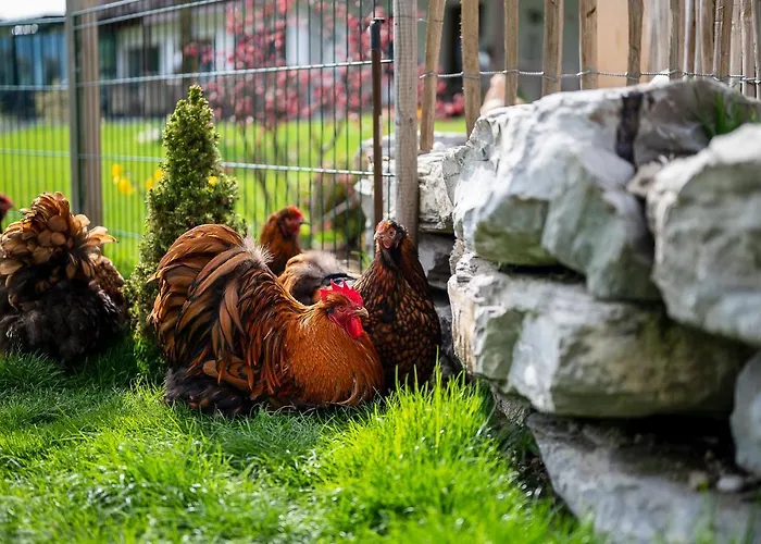 Hotel Daskaiser - Dein Gartenhotel In Tirol