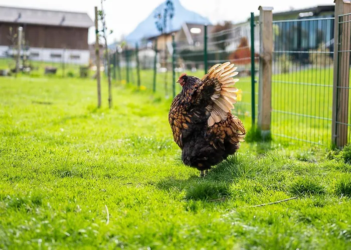Hotel Daskaiser - Dein Gartenhotel In Tirol 3*